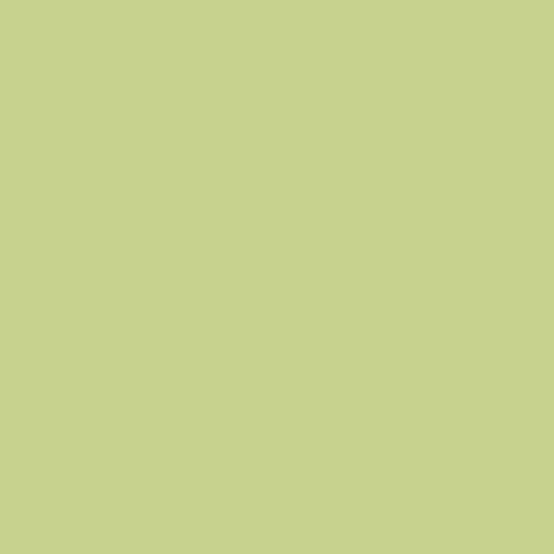 Full Plus Green  (246) 4’ Roll
