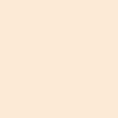 1/8 CTO (223) 4’ Roll